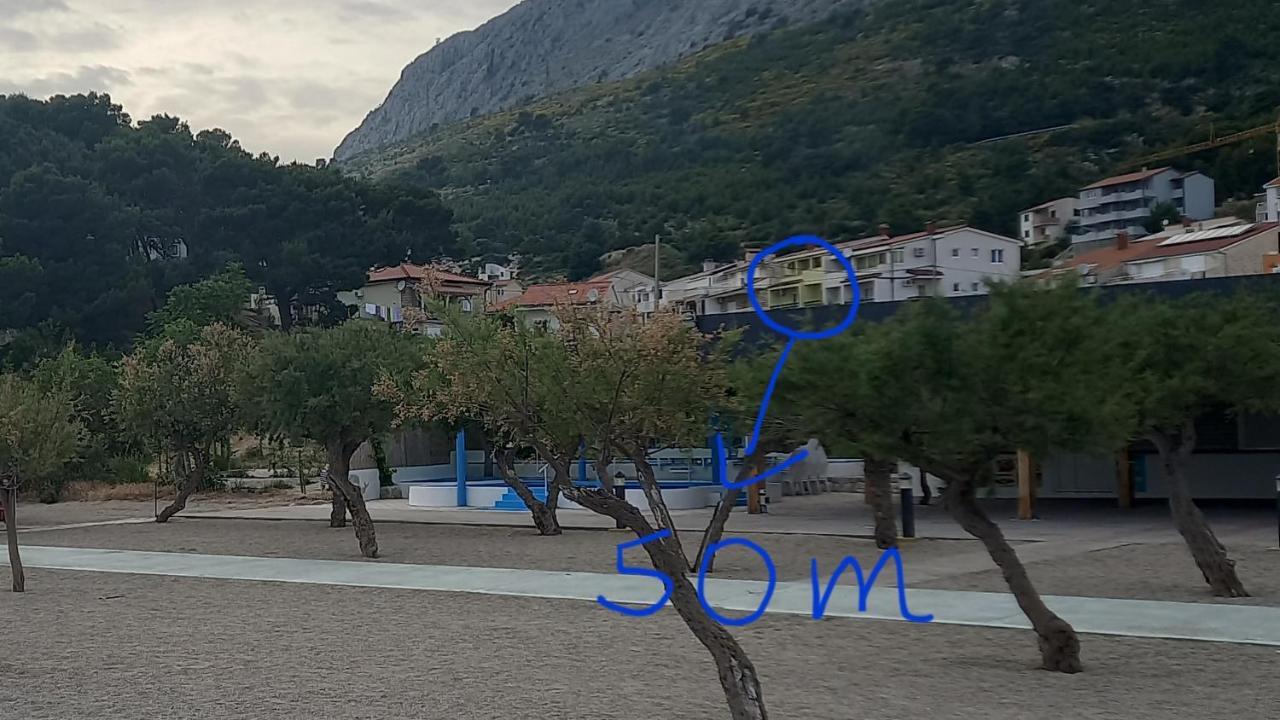 Bugenvilija Duće Kültér fotó