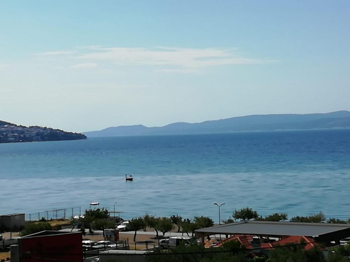 Bugenvilija Duće Kültér fotó
