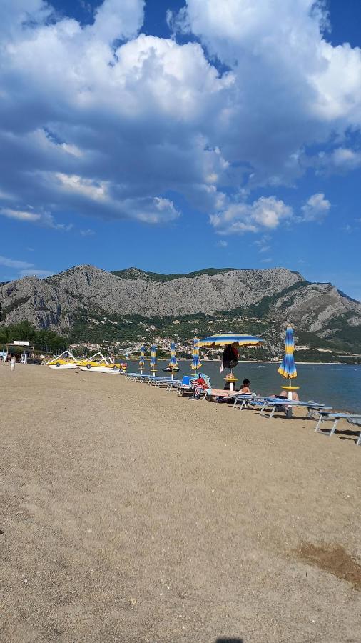 Bugenvilija Duće Kültér fotó